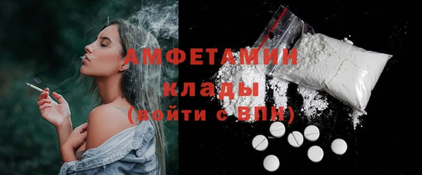 индика Новодвинск