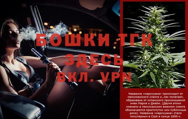 бошки Няндома