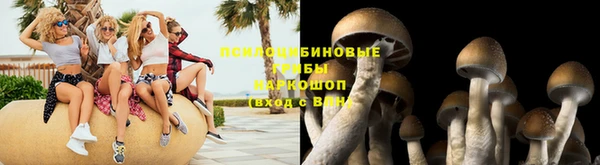 бошки Няндома