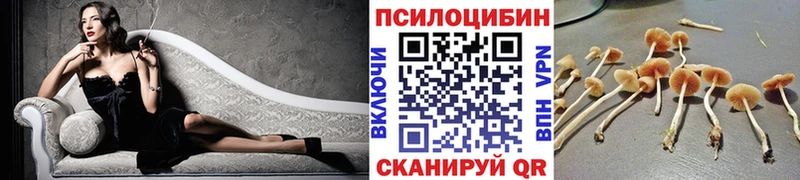Псилоцибиновые грибы GOLDEN TEACHER  сколько стоит  Петухово 
